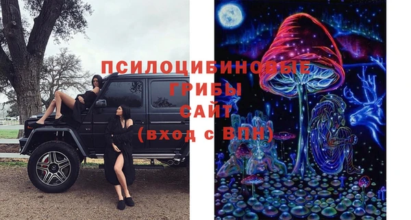 скорость Богданович