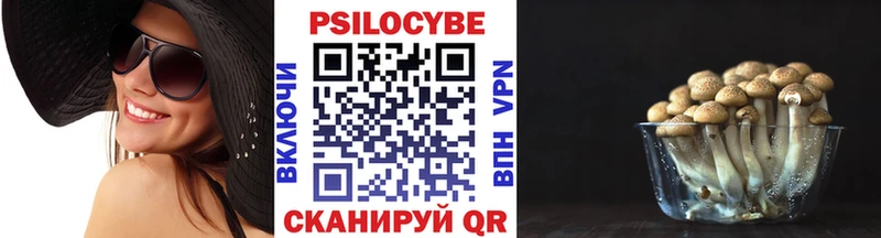 Псилоцибиновые грибы Psilocybe  Мирный 
