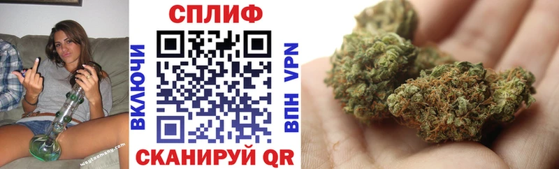 сайты даркнета формула  купить наркоту  Мирный  Каннабис индика 